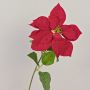 False poinsettia LIBASSE, red, 26"/65cm