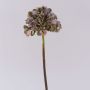 Decorative flower Hydrangea MANDISA, green-pink, 26"/65cm