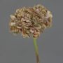 Decorative flower Hydrangea MANDISA, brown-pink, 26"/65cm