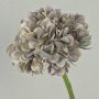 Decorative flower Hydrangea MANDISA, beige-pink, 26"/65cm