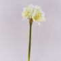 Artificial flower Amaryllis MARKUNO, cream-white, 24"/60cm