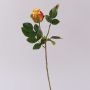 Velvet Rose RENESMEE, yellow-red, 45cm, Ø6cm