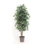 Artificial Ficus Benjamina KONRADE, real stems, green-white, 5ft/150cm - Made in Italy