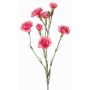 PIARA decorative carnation branch, pink, 60cm, Ø3–5cm