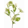 Artificial hydrangea branch KATHANI, white-green, 80 cm, Ø 10–13 cm