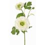 Artificial ranunculus SAGARA, white-green, 18"/45cm, Ø2"-3.5"/5-9cm