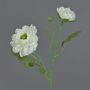 Artificial ranunculus SAGARA, white-green, 45cm, Ø5–9cm