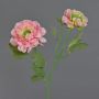 Artificial ranunculus SAGARA, pink-green, 45cm, Ø5–9cm