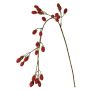 URUMA artificial blackberry branch with berries, red, 100cm
