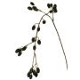 Artificial blackberry branch URUMA with fruit, black, 100cm