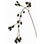 Artificial blackberry branch URUMA with fruit, black, 3ft/100cm