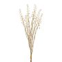 Decorative pokeweed bunch ILMOR, berries, dry look, beige, 20"/50cm