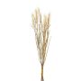 Decorative wheat bunch TILPA with ears, cream, 20"/50cm