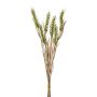 Decorative wheat bunch TILPA with ears, green, 20"/50cm
