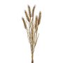 Decorative wheat bunch TILPA with ears, brown, 20"/50cm