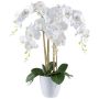 Artificial Phalaenopsis orchid BLENTOR in melamine planter, roots, white, 24"/60cm