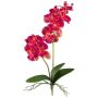 Artificial Phalaenopsis orchid KRUZBER, spike, roots, fuchsia, 22"/55cm