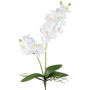 Artificial Phalaenopsis orchid KRUZBER, spike, roots, white, 22"/55cm