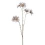 Artificial flower branch Marguerite SNOFEL, burgundy red, 28"/70cm