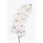 Artificial Phalaenopsis orchid branch XURI, white, 95 cm, Ø 12.5 cm