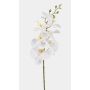 Artificial Phalaenopsis orchid branch AXELOR, white, 85cm