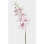 Artificial Phalaenopsis orchid branch AXELOR, white-pink, 85cm