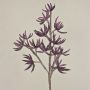 Plastic foam artificial branch Sedum rubrotinctum MOMOKA, dark purple, 105 cm