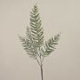 ZOLTAN decorative cypress branch, frosted, green, 75cm