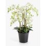 Artificial Phalaenopsis orchid ‘FINEA’ in decorative pot, cream, 85cm