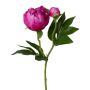False flower Peony CORENY, fuchsia, 18"/45cm