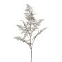 Artificial asparagus plumosus branch BLORVI, antique silver, 3ft/90cm