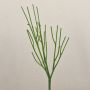 BENEDETTO decorative pencil plant, green, 50cm