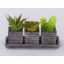 Foam succulent arrangement SYLVIA in decorative pots, green, 19 x 7.5 x 11 cm