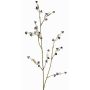 Decorative Stirlingia latifolia branch COLLAN, black-white, 30"/75cm, Ø0.4"/1cm