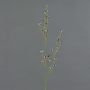 Decorative Stirlingia latifolia branch COLLAN, black and white, 75cm, Ø1cm