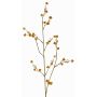 Decorative Stirlingia latifolia COLLAN branch, orange-green, 75cm, Ø1cm