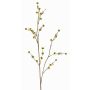 Decorative Stirlingia latifolia branch COLLAN, yellow-green, 75cm, Ø1cm