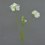 Artificial Scabiosa ANDIA, white, 80cm, Ø8–10cm
