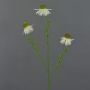 Artificial coneflower branch CELIO, cream, 70 cm, Ø 6–7 cm