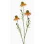 Artificial coneflower branch CELIO, apricot, 70cm, Ø6–7cm