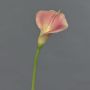 MIRAC artificial calla lily, pink-yellow, 75cm, 12x15cm