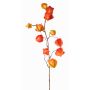 Decorative physalis branch PERSEI with berries, orange, 31"/80cm