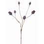Decorative poppy capsules ASUMAN, dark brown, 28"/70cm, Ø0.8"-1.2"/2-3cm