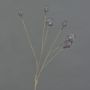 Decorative poppy capsules ASUMAN, dark brown, 70 cm, Ø 2–3 cm