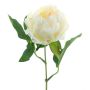 False peony TALFY, cream, 14"/35cm