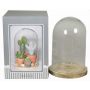 Glass bell SABIKA with marbled wooden base, clear, 6"/16cm, Ø4.7"/12cm