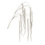 Decorative amaranth branch YAELLE with flowers, hanging, brown, 5ft/140cm