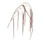 Decorative amaranth branch YAELLE with flowers, hanging, dark red, 5ft/140cm