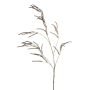 Artificial amaranth branch CERRO with flowers, brown, 3ft/100cm