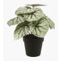 Artificial plant: leaf begonia MEIRA, green-grey, 10"/25cm